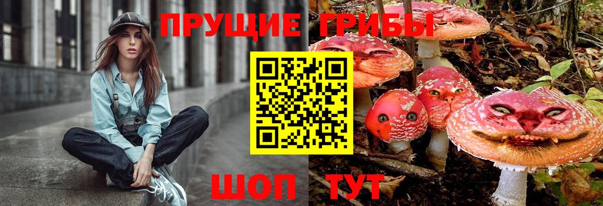 Галлюциногенные грибы Magic Shrooms  Псилоцибиновые грибы мицелий  Вход с VPN  Кимовск 