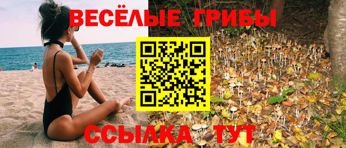 Галлюциногенные грибы Magic Shrooms Кимовск
